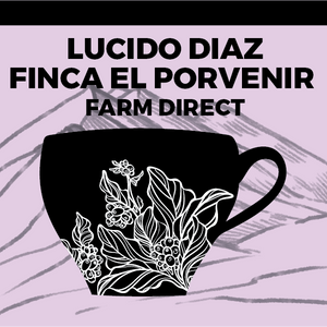 
                  
                    Load image into Gallery viewer, Finca El Porvenir - Pink Bourbon
                  
                