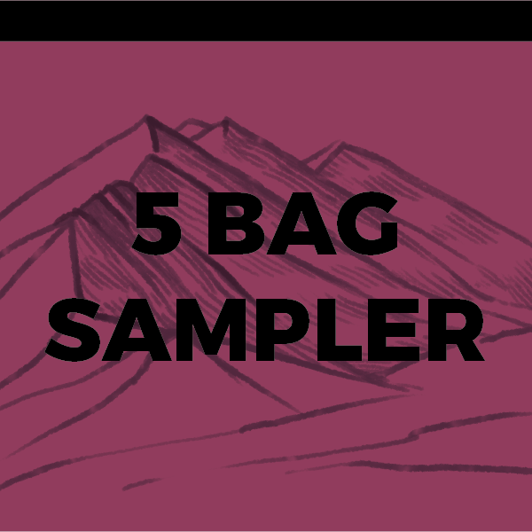 5 Bag Sampler